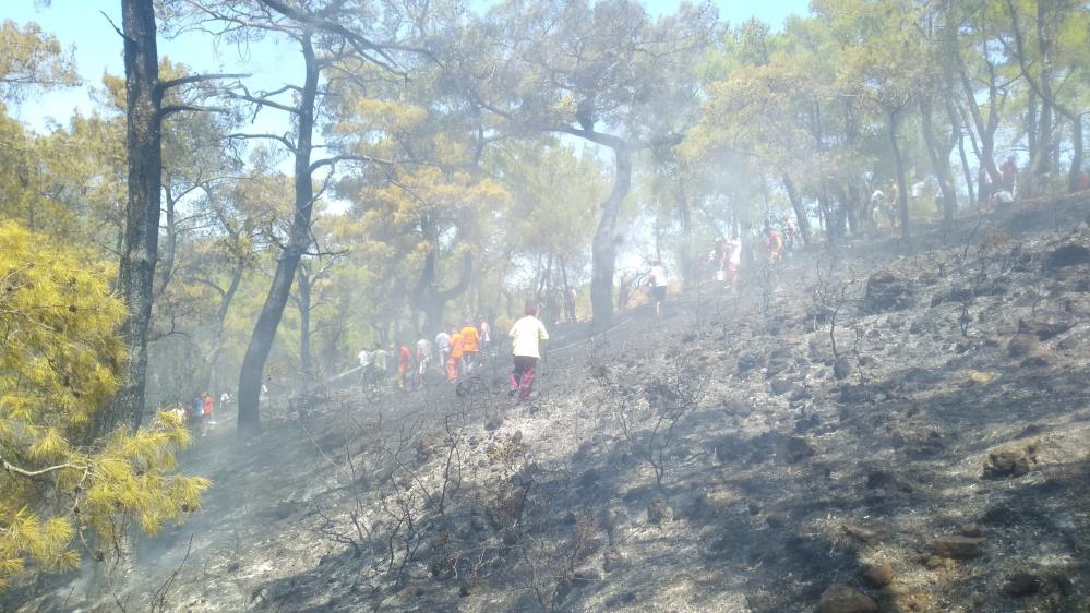 KEMER'DE ORMAN YANGINI